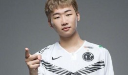 宁王被踢爆料了吗视频,揭秘电竞圈风云变幻